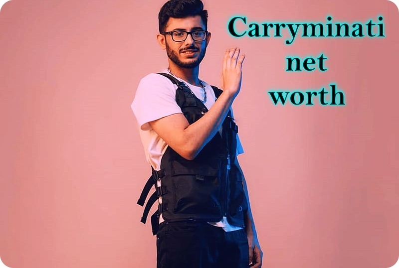 carryminati net worth